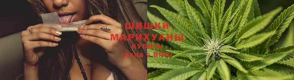 прущие крисы Абинск