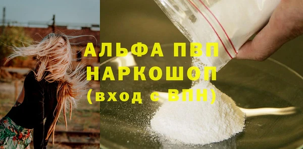 прущие грибы Протвино