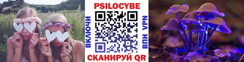 Псилоцибиновые грибы MAGIC MUSHROOMS  блэк спрут маркетплейс  Болотное 